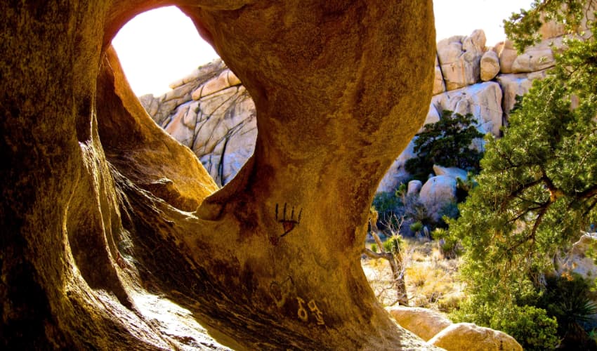 a sandy granite rock formation with a petroglyph etched into it in Joshua Tree National Park