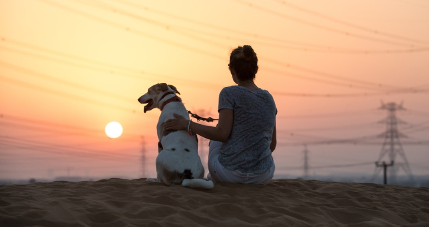 a woman and her dog watch the sunset on a sandy hill