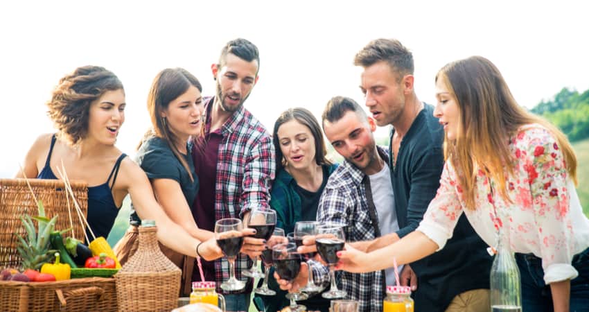 A group of friends toasting wine at a picnic table