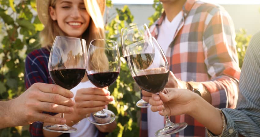 A close up of friends toasting red wine outside near a vineyard