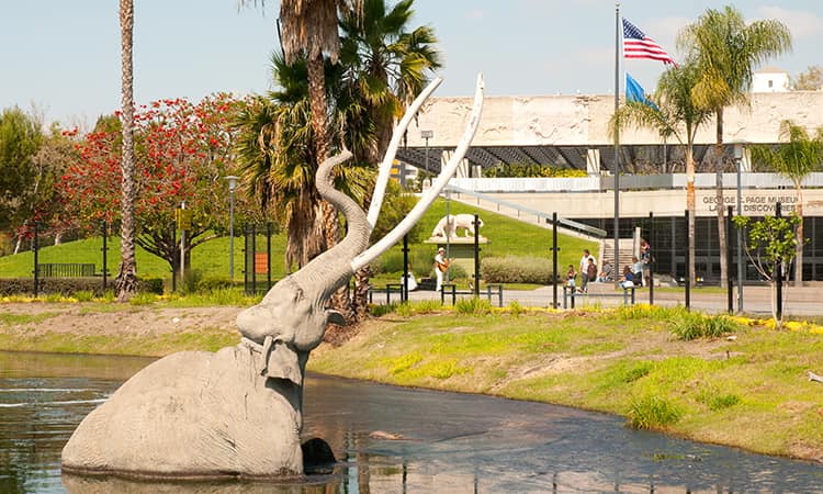 Sculpture of a mommath half-submerged in tar outside La Brea Tar Pits museum