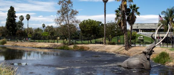 la brea tar pits